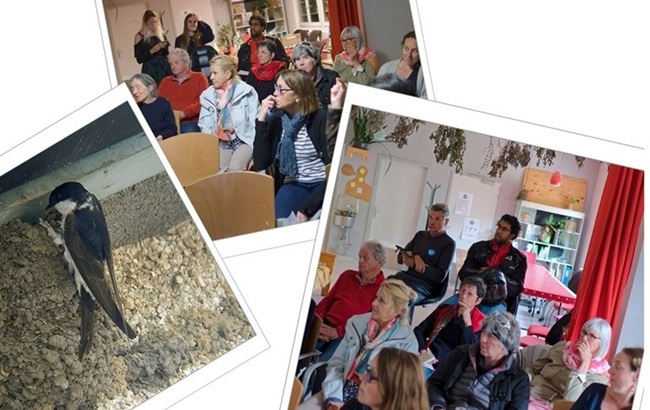 Formation n°3 aux recencements des nids d'hirondelles 2026